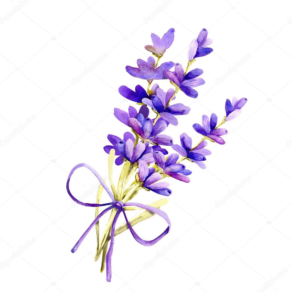 A bouquet of lavender flowers, twigs tied with twine, tow. Hand drawn watercolor illustration for design of wedding concept, birthday, Valentines day, greetings, invitations.