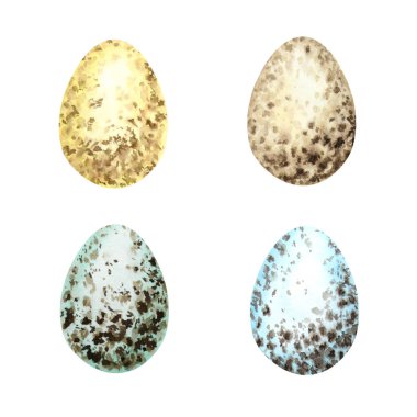 Paskalya yumurtalarını suluboya elle çizdim. Beyaz arka planda izole edilmiş farklı vahşi kuş yumurtalarından renkli bir koleksiyon. Illustration Design konsepti. Tavuklar yumurta kabuğu. Paskalya kutlamalarının sembolleri.