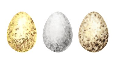 Paskalya yumurtalarını suluboya elle çizdim. Beyaz arka planda izole edilmiş farklı vahşi kuş yumurtalarından renkli bir koleksiyon. Illustration Design konsepti. Tavuklar yumurta kabuğu. Paskalya kutlamalarının sembolleri.