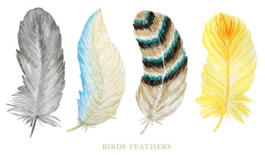 Parlak tüyler suluboya el çizimleri yapar. Boho tarzı kanat çizimi beyaz arkaplanda izole edildi. Poster, davetiye ve düğün kartı için kuş tasarımı öğesi. Canlı renkler.