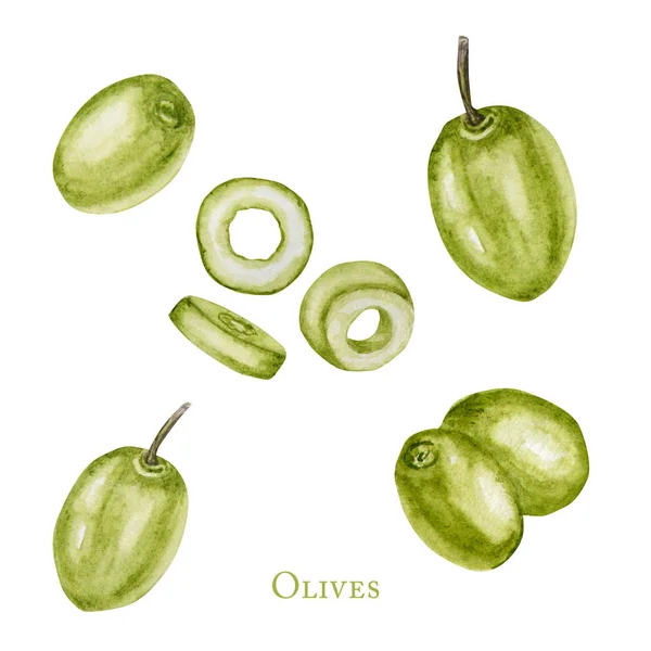 Acquerello frutti di oliva verdi bacche, Realistico olive illustrazione botanica isolato su sfondo bianco, dipinto a mano, fresca raccolta ciliegie mature per l'etichetta, concetto di design della carta . — Foto Stock