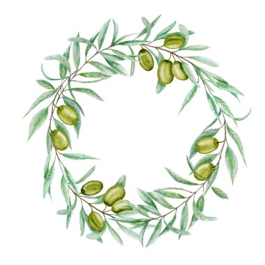 Suluboya yeşil zeytin dalı yaprağı çelenk, beyaz arka planda gerçekçi zeytin çizimi, el boyası çerçeve. Davetiyeler, poster, tebrik kartı, etiket konsepti için izole sınır tasarımı.