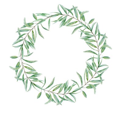Suluboya yeşil zeytin dalı yaprağı çelenk, beyaz arka planda gerçekçi zeytin çizimi, el boyası çerçeve. Davetiyeler, poster, tebrik kartı, etiket konsepti için izole sınır tasarımı.
