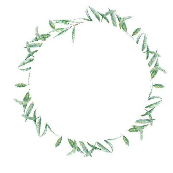 Corona di foglie di ulivo verde acquerello, Illustrazione realistica di olive su sfondo bianco, Cornice dipinta a mano. Design isolato della frontiera per inviti, poster, biglietto di auguri, concetto di etichetta . — Foto Stock