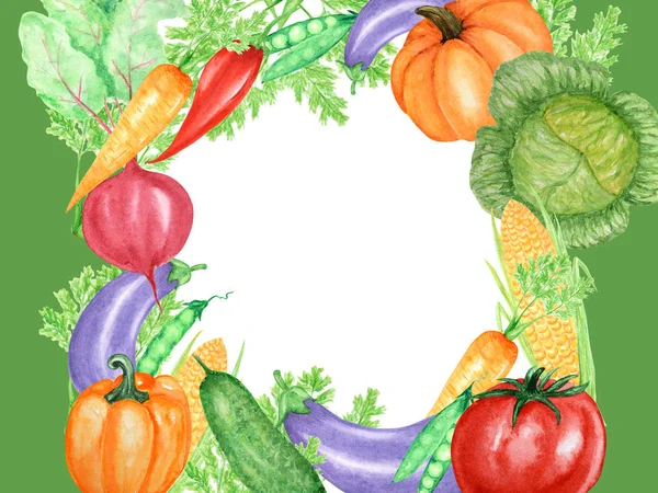 Marco acuarela pintada de verduras e insectos, mariquita y abeja. Diseño de alimentos veganos saludables frescos dibujados a mano sobre fondo blanco. Tarjeta de felicitación, póster, concepto de banner con espacio de copia para texto . —  Fotos de Stock