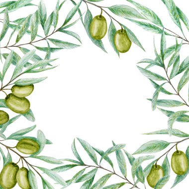 Suluboya yeşil zeytin dalı yaprağı çelenk, beyaz arka planda gerçekçi zeytin çizimi, el boyası çerçeve. Davetiyeler, poster, tebrik kartı, etiket konsepti için izole sınır tasarımı.