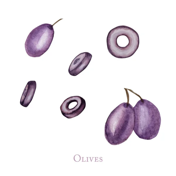 Акварельні чорні оливкові фрукти ягоди, реалістичні оливки ботанічні ілюстрації ізольовані на білому тлі, ручна розфарбована, свіжа стигла вишня для етикетки, концепція дизайну карт . — стокове фото