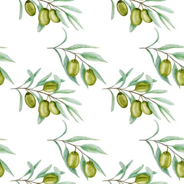 Kusursuz desenli suluboya yeşil zeytin dalı yaprakları, beyaz arka planda gerçekçi zeytin örnekleri, el boyalı kumaş dokusu. Davetiyeler için tasarım, poster, tebrik kartı, etiket konsepti