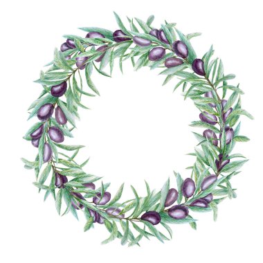 Suluboya siyah zeytin dalı yaprağı çelenk, beyaz arka planda gerçekçi zeytin çizimi, el boyası çerçeve. Davetiyeler, poster, tebrik kartı, etiket konsepti için izole sınır tasarımı.
