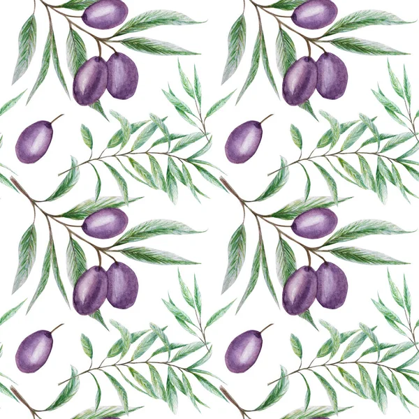 Seamless pattern Watercolor black olive tree branch leaves, Realistic olives illustration on white background, Hand painted fabric texture. Design for invitations, poster, greeting card, label concept