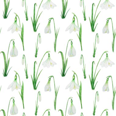 Pürüzsüz desenli yeşil yapraklı kartopu bahar paskalya çiçekleri. Hassas kar damlaları. Kumaş dokusu El, suluboya resimlerini beyazların arka planına boyamış. Bahar sembolleri konsepti