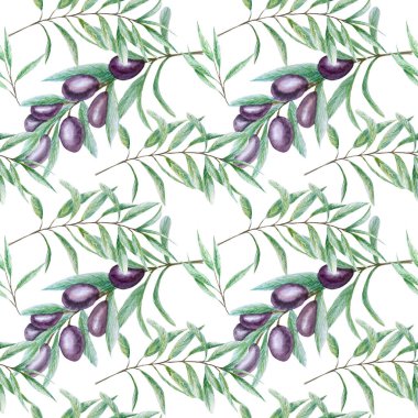 Kusursuz desenli suluboya siyah zeytin dalı yaprakları, beyaz arka planda gerçekçi zeytin çizimleri, el boyalı kumaş dokusu. Davetiyeler için tasarım, poster, tebrik kartı, etiket konsepti