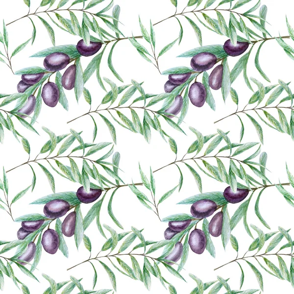 Seamless pattern Watercolor black olive tree branch leaves, Realistic olives illustration on white background, Hand painted fabric texture. Design for invitations, poster, greeting card, label concept