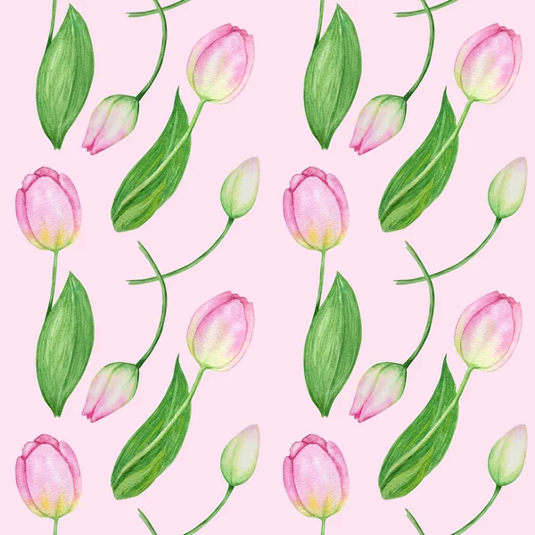 Modello senza soluzione di continuità con tulipano primavera fiori pasquali con foglie verdi. Texture in tessuto con delicati tulipani Illustrazione ad acquerello dipinta a mano su sfondo bianco. Simboli primaverili — Foto Stock