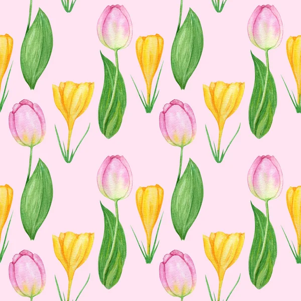 Nahtloses Muster mit Krokustulpe Frühling Osterblumen mit grünen Blättern. Stoffstruktur mit handgemalten Tulpen-Aquarell-Illustrationen auf rosa Hintergrund. Frühlingsimbole — Stockfoto