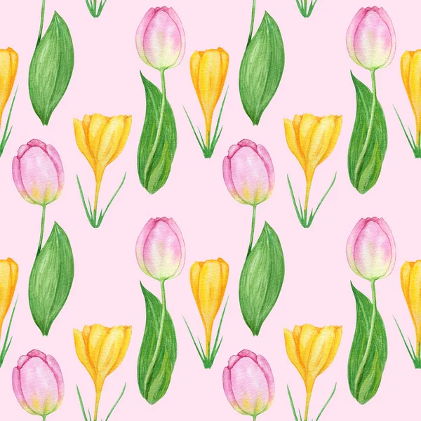 Seamless pattern with crocus tulip spring easter flowers with green leafs. Fabric texture with tulips Hand painted Watercolor illustration on pink background. Spring simbols