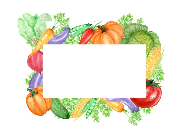 Marco acuarela pintada de verduras e insectos, mariquita y abeja. Diseño de alimentos veganos saludables frescos dibujados a mano sobre fondo blanco. Tarjeta de felicitación, póster, concepto de banner con espacio de copia para texto . — Foto de Stock