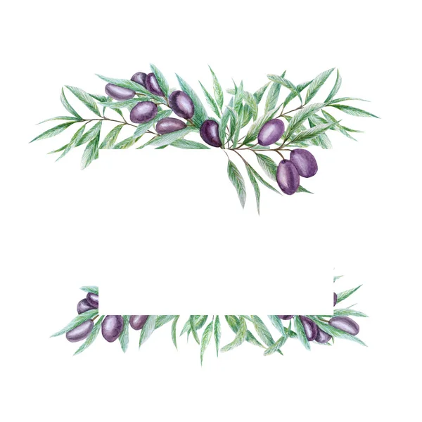 Watercolor black olive tree branch leaves frame. Realistic olives illustration on white background, Hand painted border Isolated design for invitations, poster, greeting card, label concept.