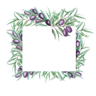 Suluboya siyah zeytin dalı çerçeveyi terk eder. Beyaz arka planda gerçekçi zeytin çizimi, El boyalı sınır çizimi davetiyeler, poster, tebrik kartı, etiket konsepti için izole tasarım.