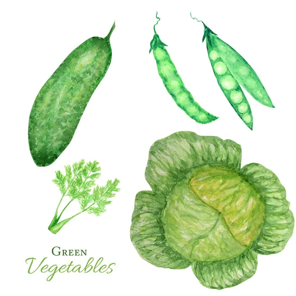 緑の野菜の水彩画コレクション。白を基調とした新鮮なビーガンフードのデザイン要素を手描き。キュウリ、キャベツ、エンドウ豆 — ストック写真