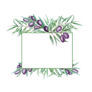 Suluboya siyah zeytin dalı çerçeveyi terk eder. Beyaz arka planda gerçekçi zeytin çizimi, El boyalı sınır çizimi davetiyeler, poster, tebrik kartı, etiket konsepti için izole tasarım.