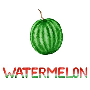 Watermelon berry fruit watercolor hand drawn illustration with lettering word inscription, fresh healthy food - natural organic food isolated on white background.