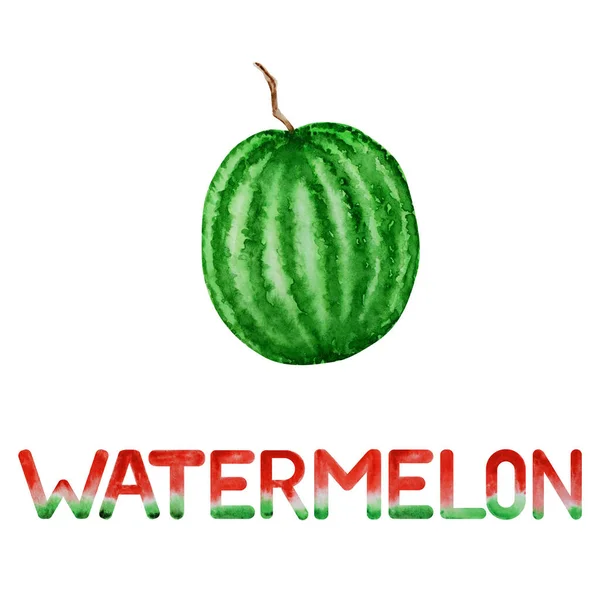 Watermelon berry fruit watercolor hand drawn illustration with lettering word inscription, fresh healthy food - natural organic food isolated on white background. — Stock Fotó