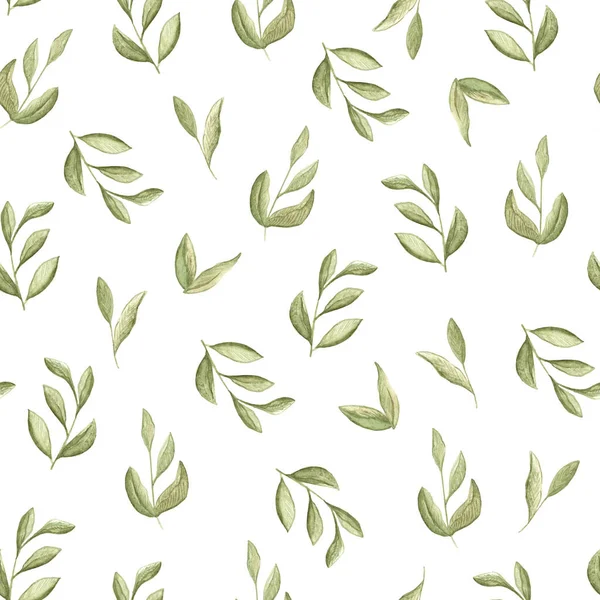 Illustration watercolor seamless pattern of green branches with leaves on a white background. — Stock Photo, Image