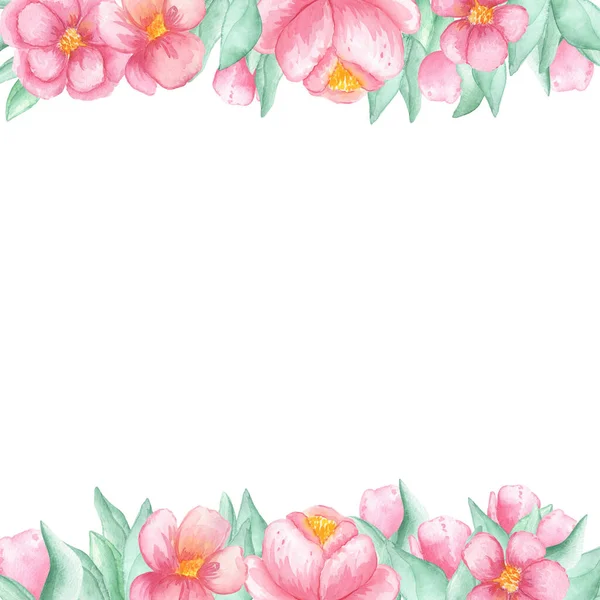白色背景上的粉红色牡丹、玫瑰和绿叶的水彩画框顶部和底部. — 图库照片