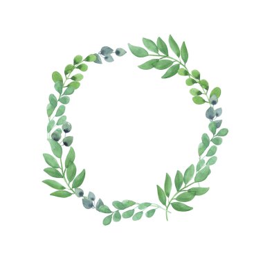 Beyaz arka planda yaprakları olan yeşil bataklık dallarının suluboya çizimi. Bahar mevsimi havası. Metin için boşluk. kartlar, tasarım, düğün için, selamlar, duvar kağıdı arkaplanı.