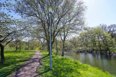 İlkbahar manzarası Ağaçlar ve gölet