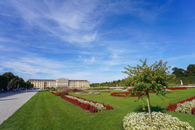 Parktaki çiçek tarhında parlak çiçekler