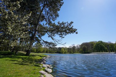 Parktaki nehir manzarası