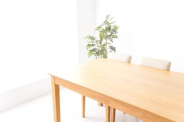 Boş masa ve yeşil bitki aydınlatma odasında