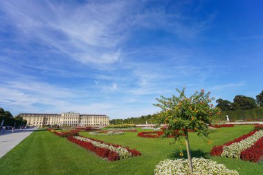 Parktaki çiçek tarhında parlak çiçekler