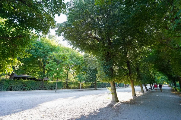 Bäume Park — Stockfoto