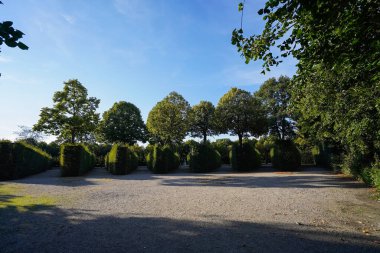 Parktaki yeşil ağaçlar