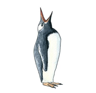Penguen. El çizimi suluboya çizimi. Beyaz arka planda siyah bir taslak. Renkli resimleme