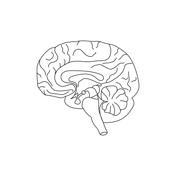 Всемирный день психического здоровья. Мозг. Рисунок в стиле арт-дудл. Черный контур на белом фоне. Векторная иллюстрация . — стоковый вектор