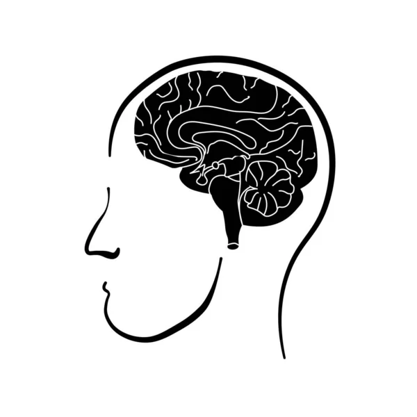 Man with brains. Line art doodle sketch. Black outline on white background. Vector illustration. — 스톡 벡터