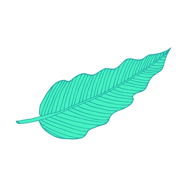 Philodendron leaf. Line art doodle sketch. Mint green on white background. Vector illustration. — 스톡 벡터