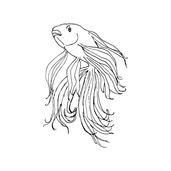 Golden fish. Hand drawing sketch. Black outline on white background. Vector illustration. EPS10 — Stock Vector