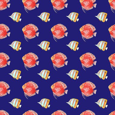 Disk ve kelebek balığının kusursuz deseni. Mavi arka planda el çizimi. Suluboya çizimi