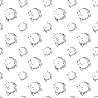 Discus balığı kusursuz desen. El çizimi çizimi. Beyaz arka planda siyah bir taslak. Vektör çizimi. Bölüm 10