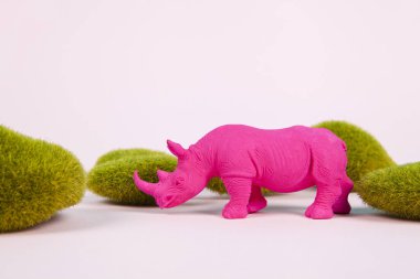  Pembe arkaplandaki yosun kayaları arasında pembe bir gergedan. Atmosfer. Ton ton. En düşük renk hala yaşam fotoğrafçılığı 