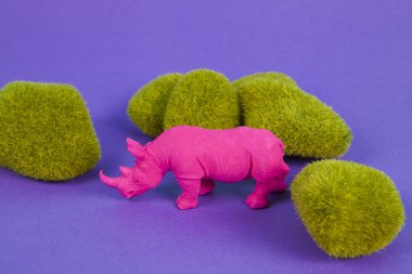  Pembe bir fuschia gergedanı, mor arkaplandaki yosun kayaları arasında. Atmosfer. En düşük renk hala yaşam fotoğrafçılığı 