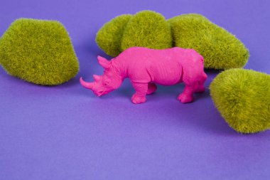  Pembe bir fuschia gergedanı, mor arkaplandaki yosun kayaları arasında. Atmosfer. En düşük renk hala yaşam fotoğrafçılığı 