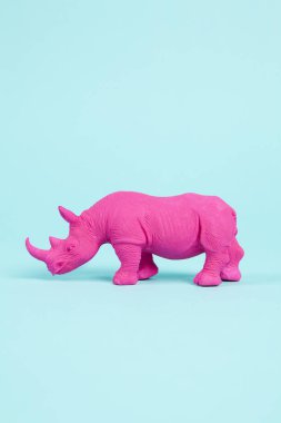 Pembe bir Fuschia gergedanı, turkuaz pastel arka plan üzerine kurulmuş. Atmosfer. En düşük renk hala yaşam fotoğrafçılığı 