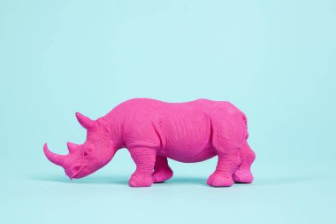 Pembe bir Fuschia gergedanı, turkuaz pastel arka plan üzerine kurulmuş. Atmosfer. En düşük renk hala yaşam fotoğrafçılığı 