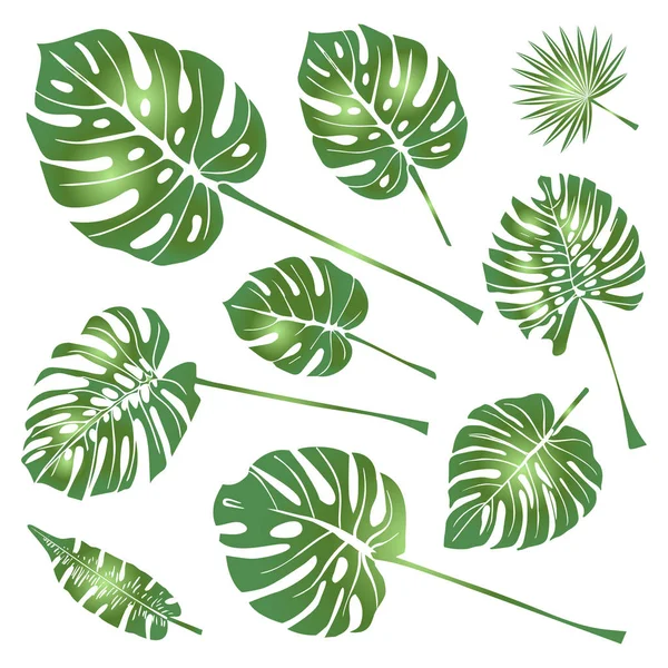 Set of Tropical Leaves Icons isolated on White — Stock vektor